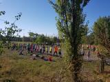 crosslauf