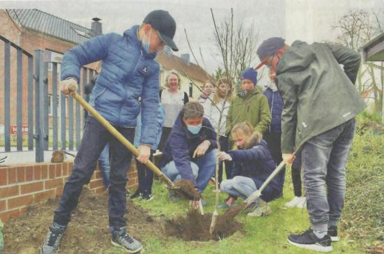 baumpflanzung.jpg